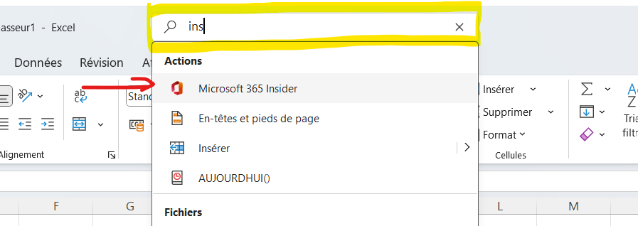 Insider programme Excel